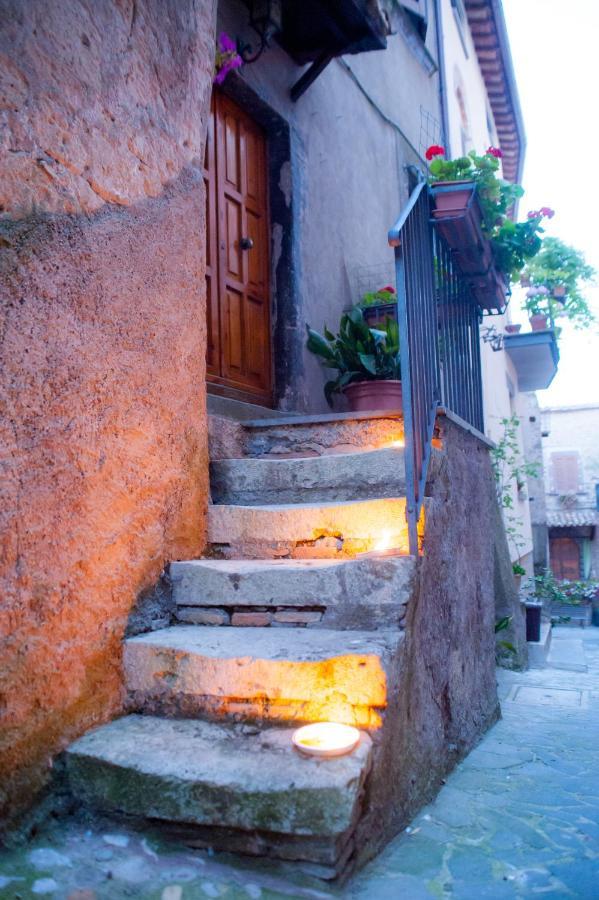 Casa Flora Villa Civitella d'Agliano ภายนอก รูปภาพ